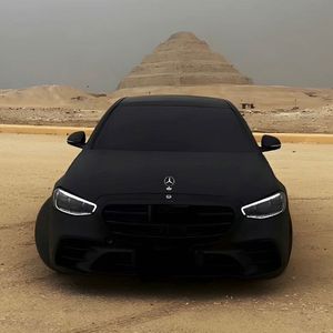 无码免费毛片手机在线
